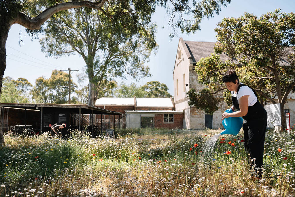 woman watering wildflowers at Abbotsford Convent, with a historic building in the background