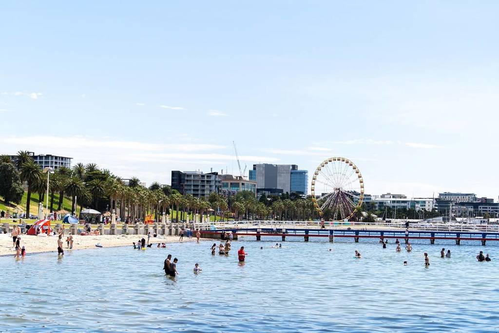 people swimming in the water at Eastern Beach Reserve, with a Ferris wheel in the background