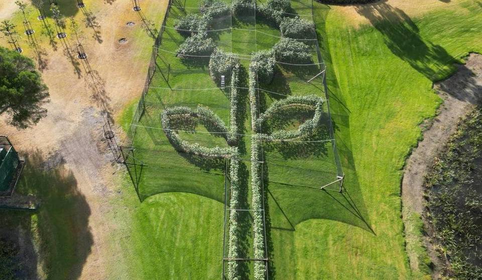 The World’s Largest Sunflower, Made From 3,000 Blooms, Will Soon Welcome Visitors At A Stunning Garden In Mornington