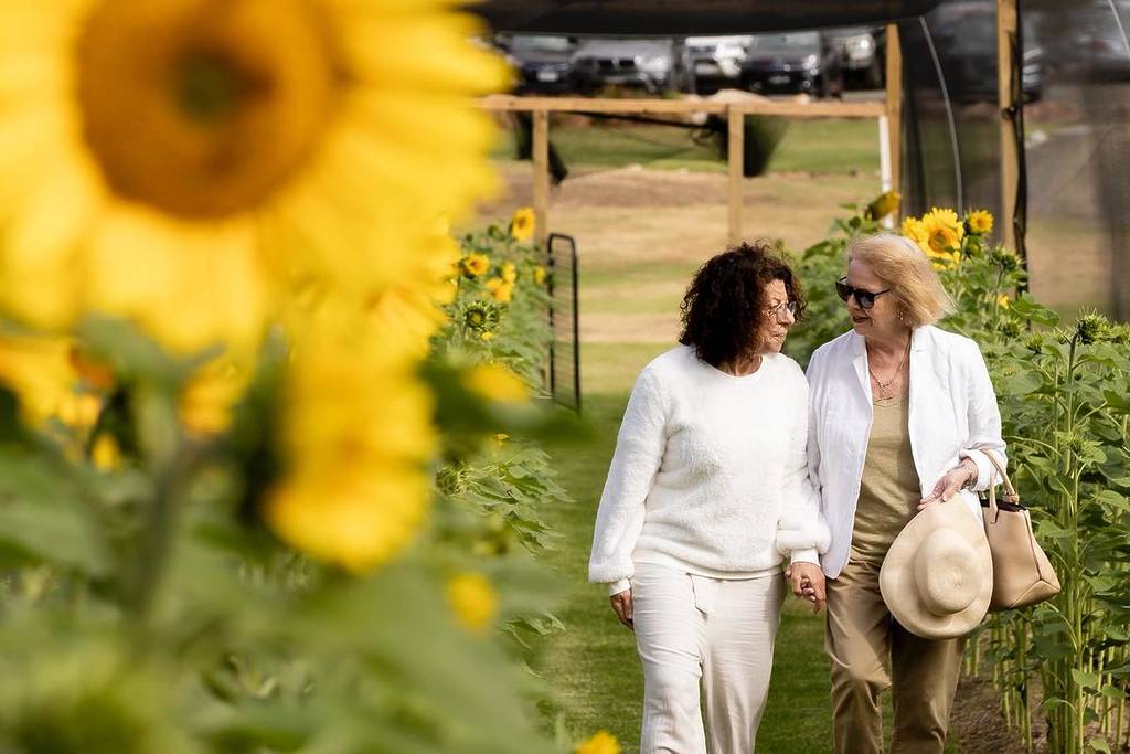 two women walking down a sunflower row and chatting