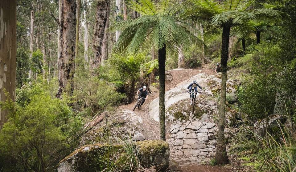 This Unmissable Mountain Bike Park Will Soon Double Its Network Of Trails, Giving You Over 60km To Explore — And It’s Only 90 Minutes From Melbourne