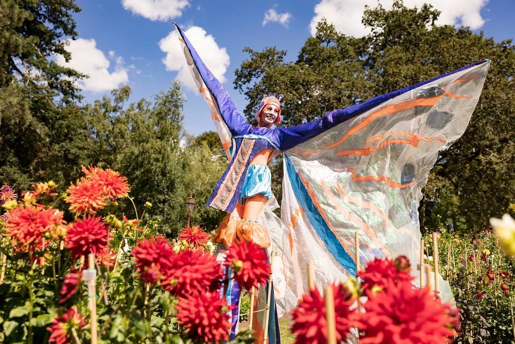 a roving stilt performer with large butterfly wings standing among flowers at the Ballarat Begonia Festival