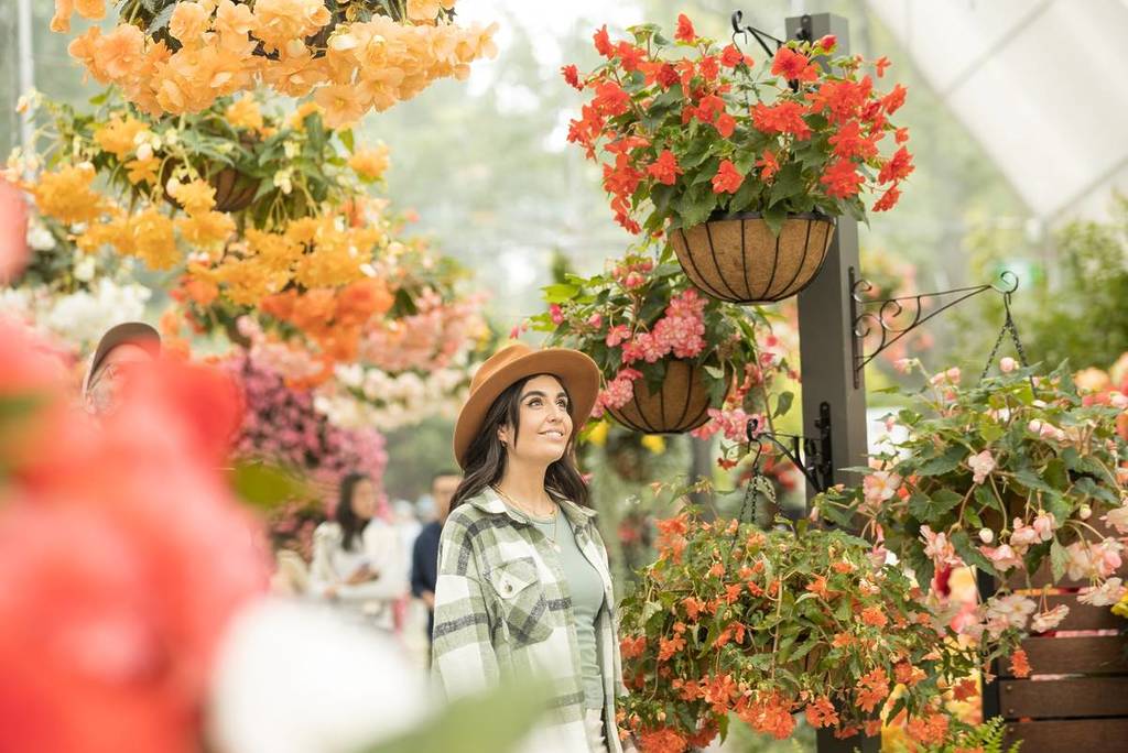 woman looking up at flowers at Ballarat Begonia Festival display