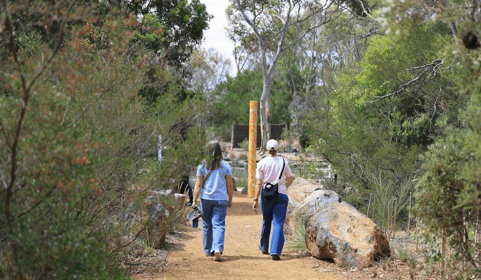 If You’re Looking For A Peaceful Escape, This Accessible Nature Walk One Hour Away From Melbourne Will Engage Your Five Senses