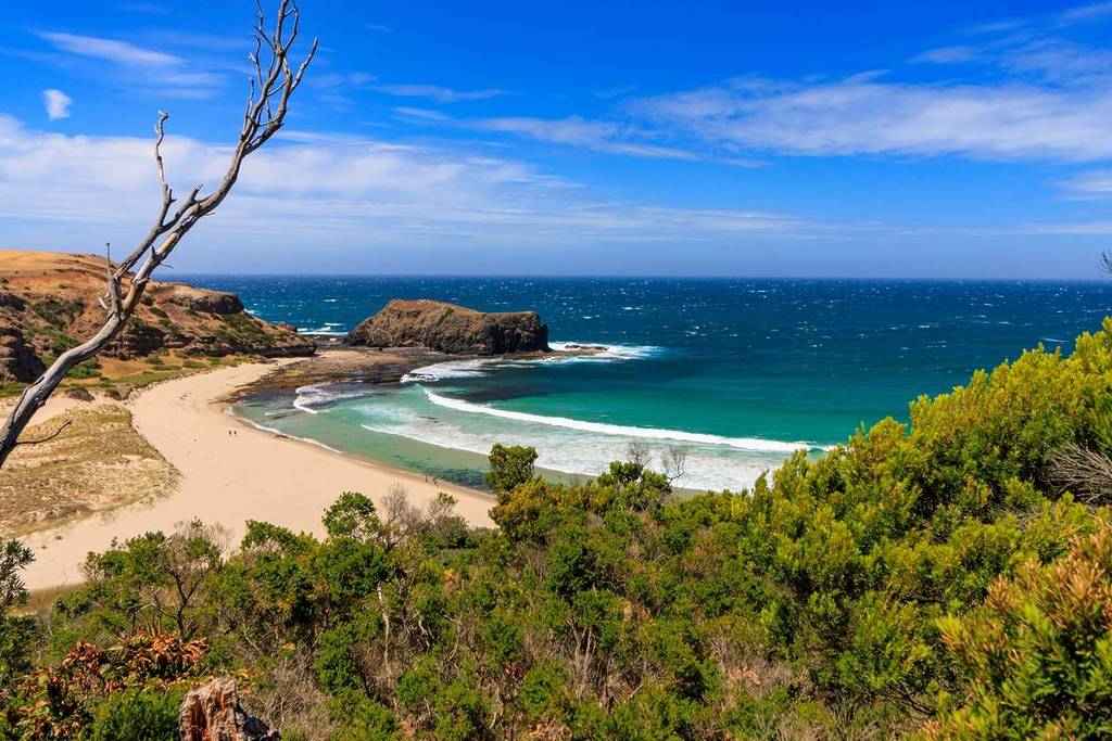 view of Bushrangers Bay through coastal scrub