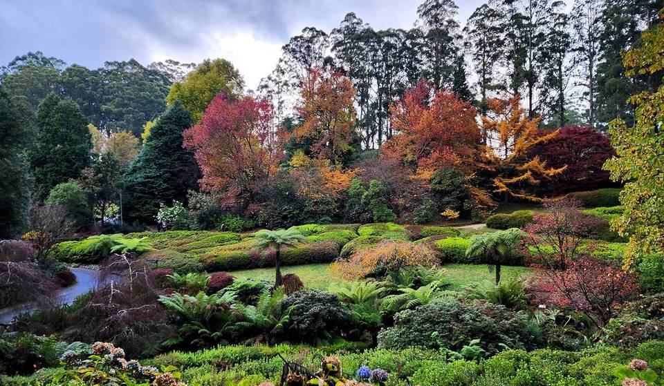 This Delightful Village On The Outskirts Of Melbourne Promises Dreamy Autumn Adventures — And It’s Accessible Via Public Transport
