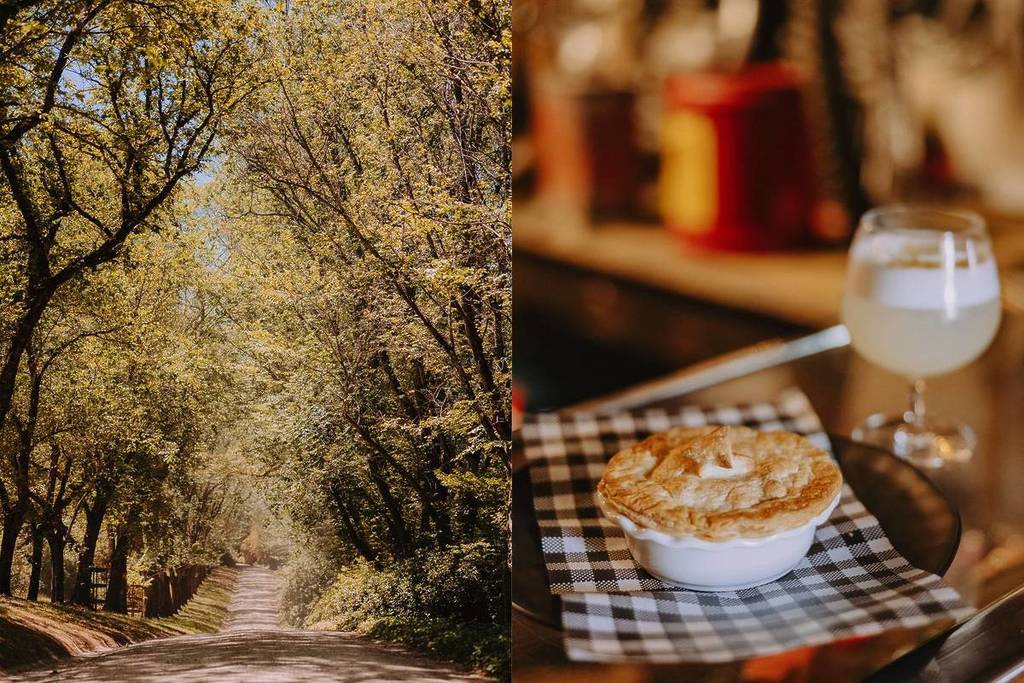 50+ Events And Fiery Autumn Leaves: The Macedon Ranges Autumn Festival Returns With Open Gardens, Pie Trails And A New Harvest Night