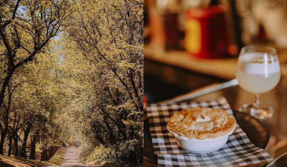 50+ Events And Fiery Autumn Leaves: The Macedon Ranges Autumn Festival Returns With Open Gardens, Pie Trails And A New Harvest Night