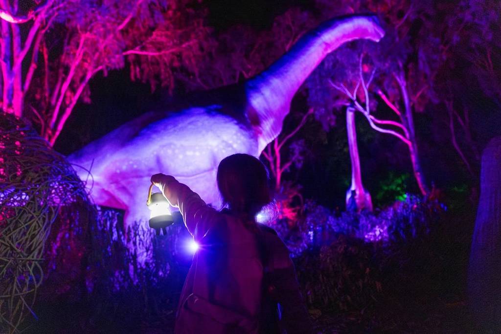 child holding lantern pointing at brachiosaurus at Dinos After Dark