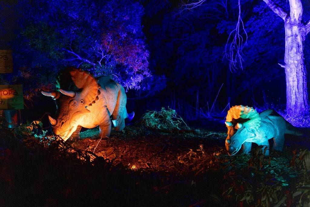 two triceratops animatronics at Dinos After Dark