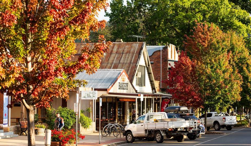 This Small Town Offers The Brightest Autumn Colours In Victoria – With Quaint Cafes And A Charming Main Street