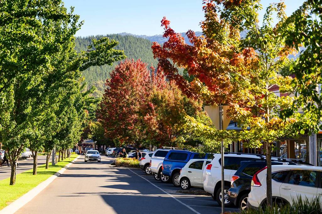 Tree-lined main street in Bright with autumn foliage in shades of red, orange and green