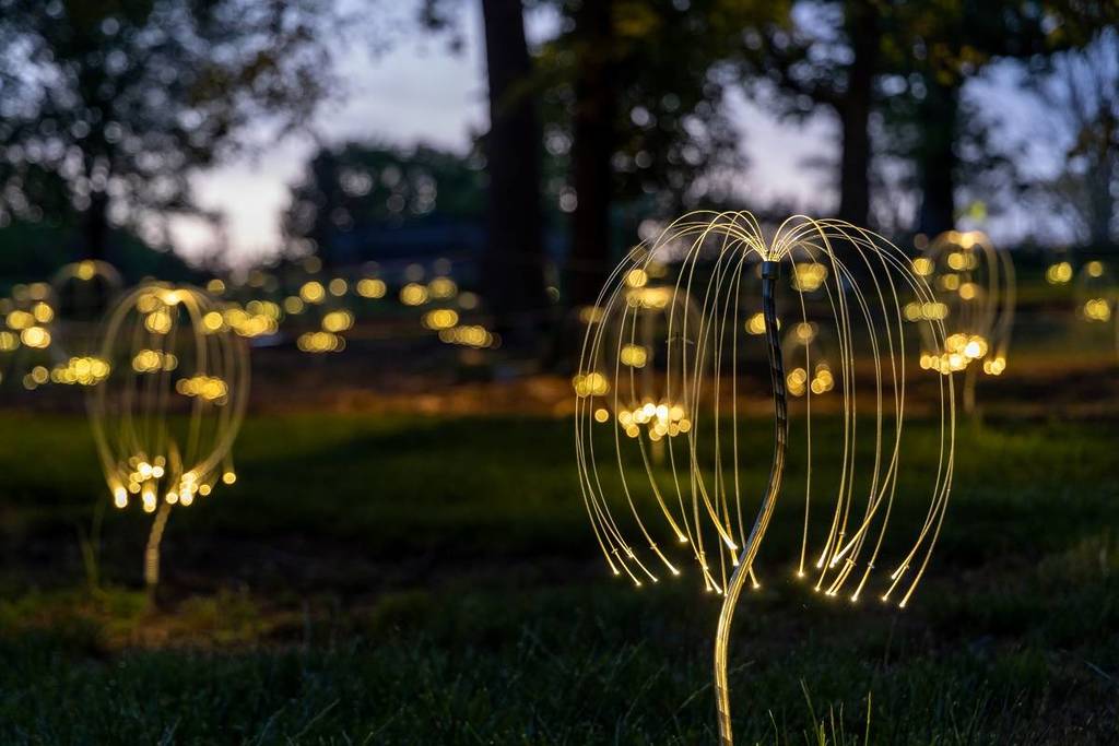 one of the Fireflies at Trail of Lights