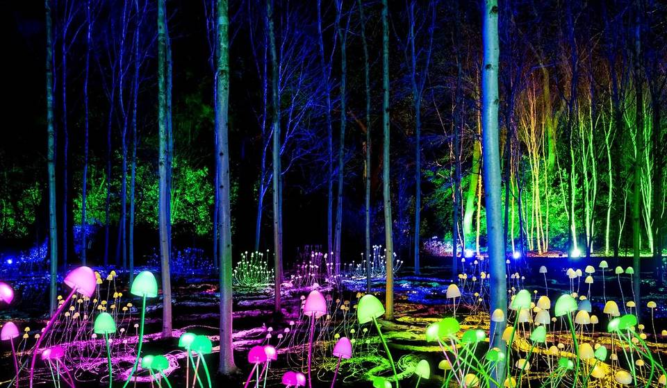This Magical Winter Light Trail Is Returning To Melbourne, With Twinkling New Installations And Adults-Only Evenings