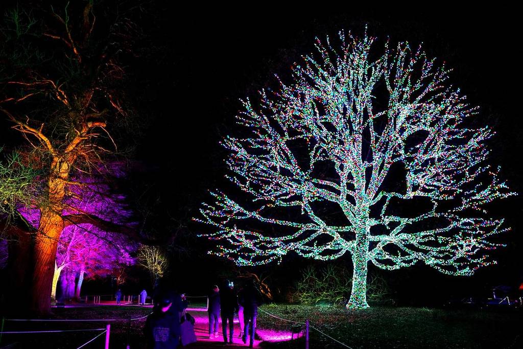 people walking next to a tree that is covered with glowing white lights