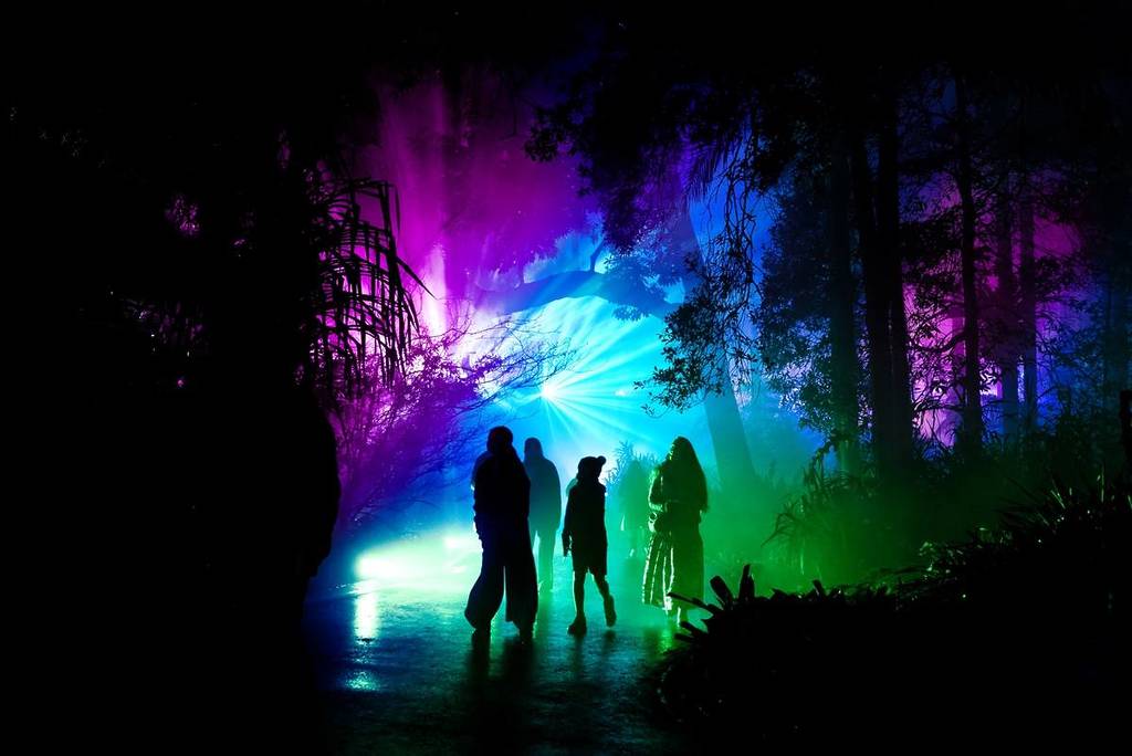 people walking in a forest filled with glowing lights at Lightscape