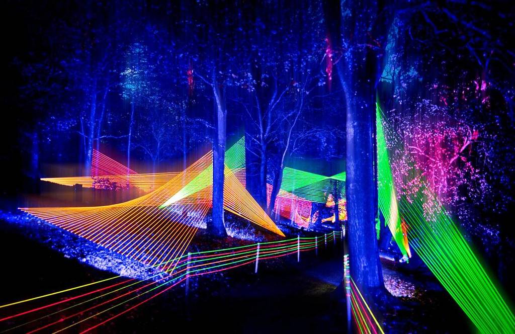 neon lights appearing like strings through the trees at Lightscape