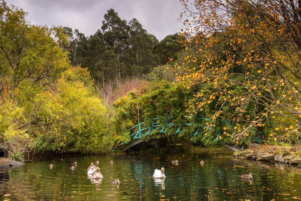 No Car? No Problem! Take The Train To This Picturesque Village In The Macedon Ranges For Your Next Autumn Getaway