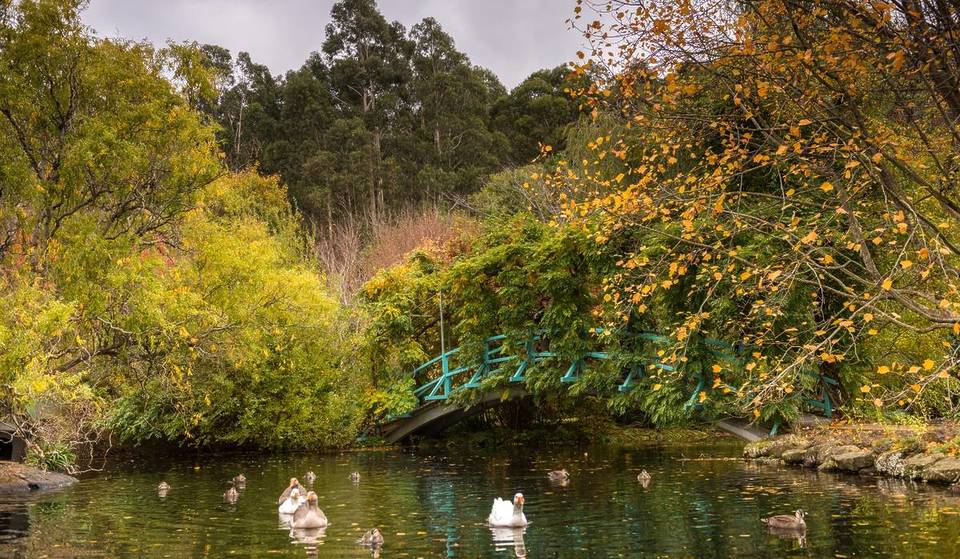 No Car? No Problem! Take The Train To This Picturesque Village In The Macedon Ranges For Your Next Autumn Getaway