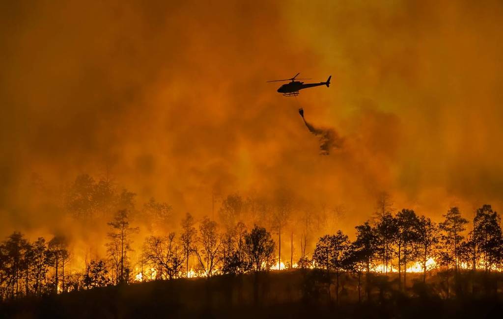 australia bushfires