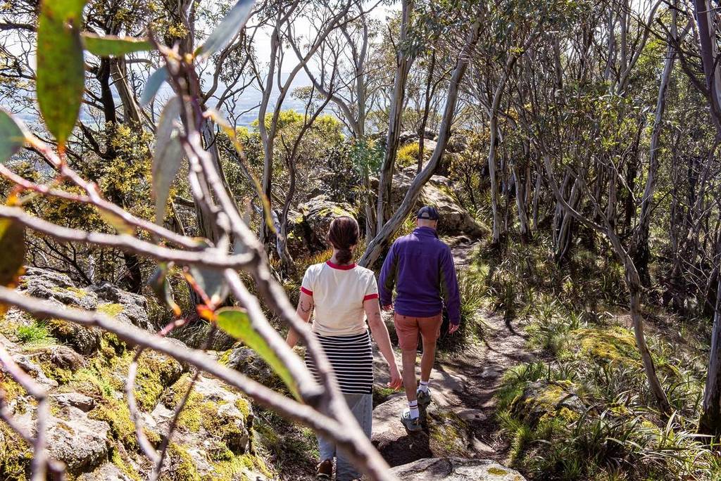 two people walking on a trail through bushland to Camel's Hump in Macedon