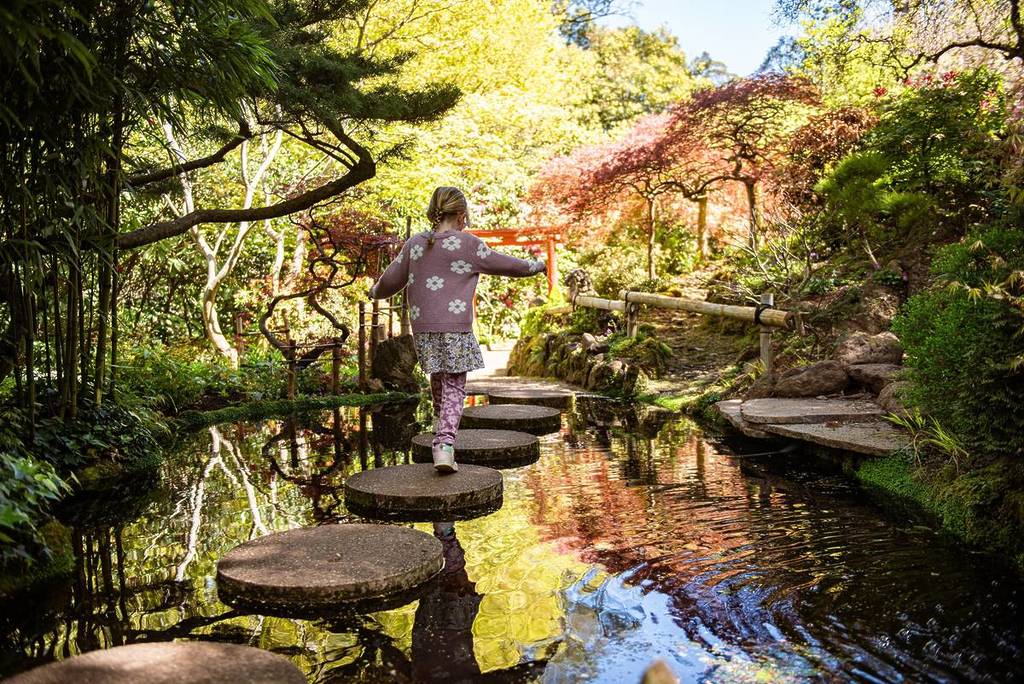 child walking across stepping stones in Forest Glade Gardens
