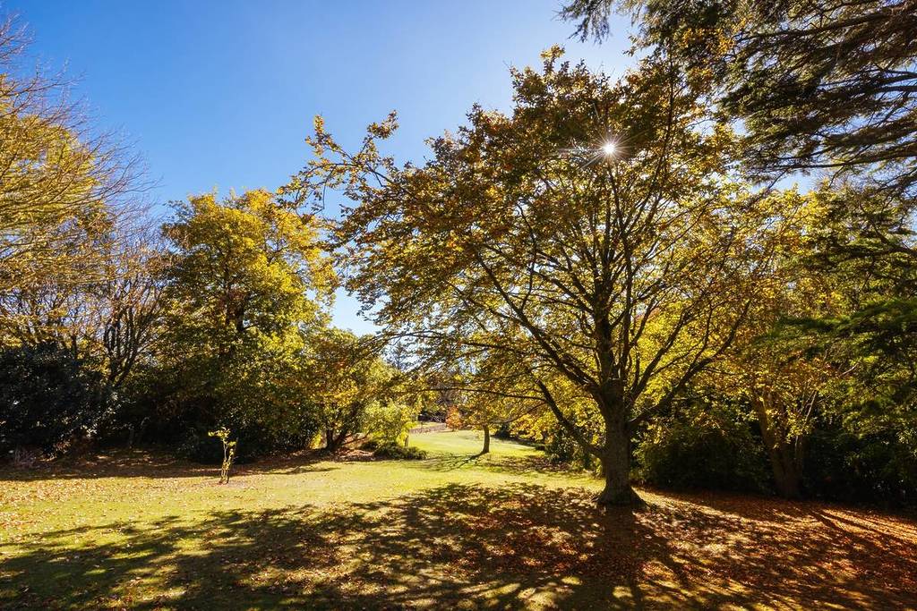 trees on a sunny autumn day in Seawinds Gardens