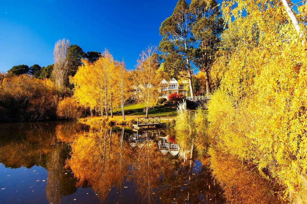 autumn leaves next to Lake Daylesford