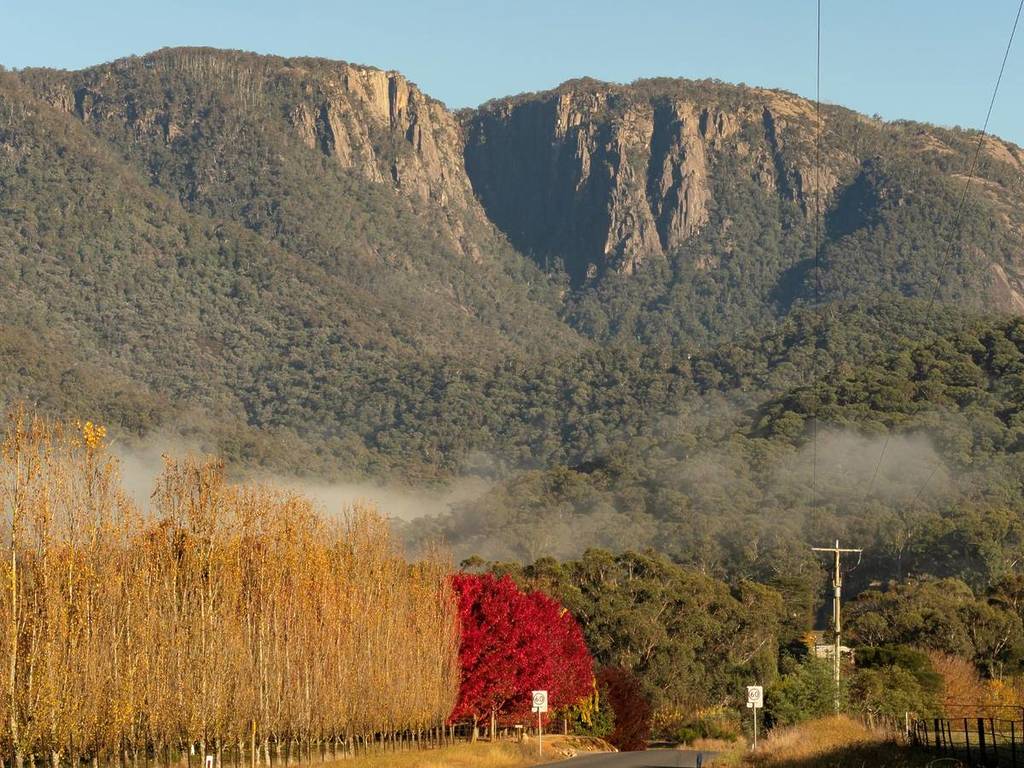 mount buffalo autumn trees near mountains