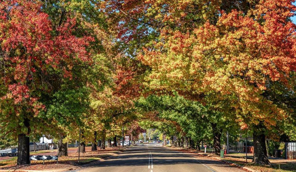 The Most Underrated Alpine Park in Victoria Is Just 4 Hours From Melbourne — Featuring 5 Breathtaking Autumn Trails, Cascading Waterfalls &amp; (Almost) No One Knows It