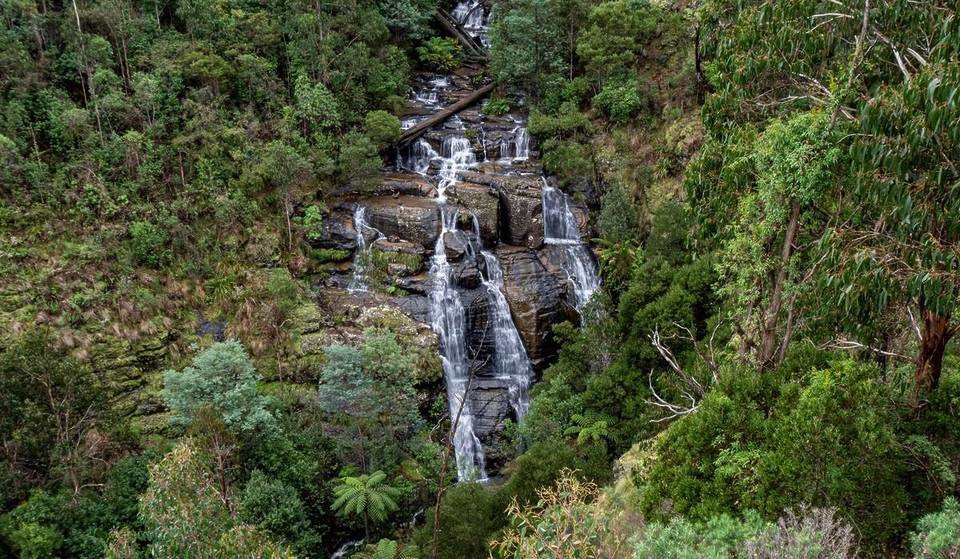This 45-Metre Waterfall Near Melbourne Promises An Enchanting Day Out In The Forest, With Mossy Trails And A Spacious Picnic Area