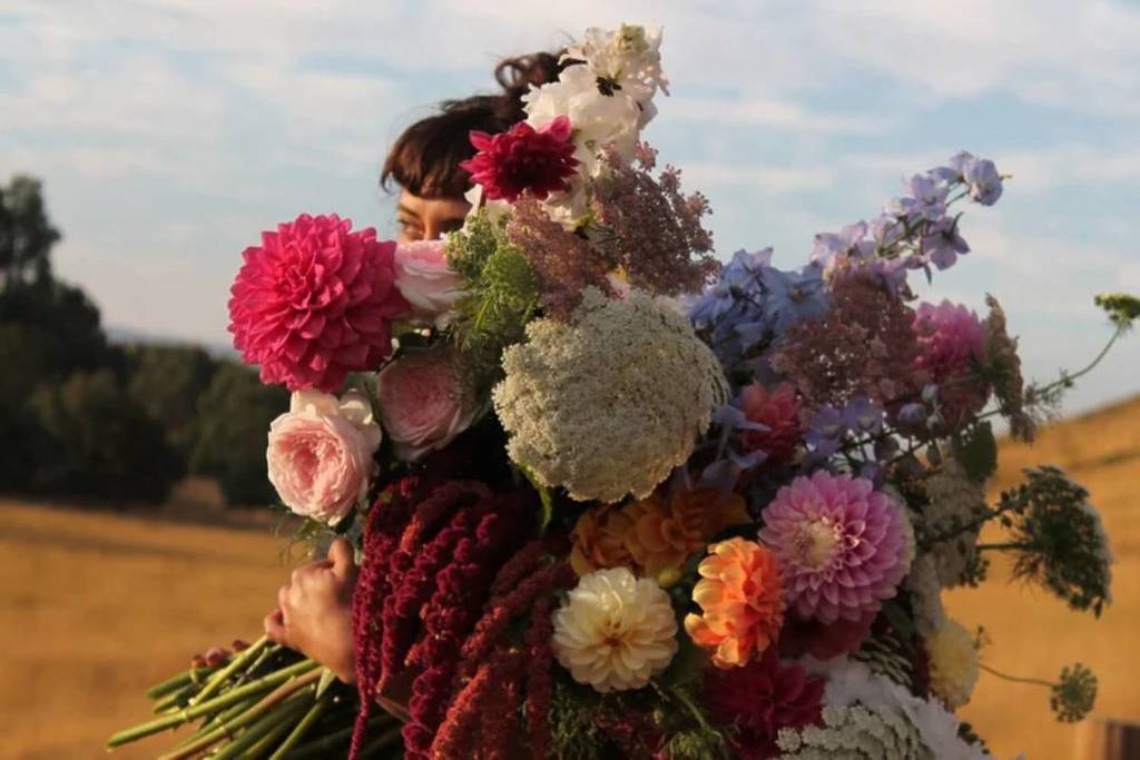 victoria flower farm in melbourne