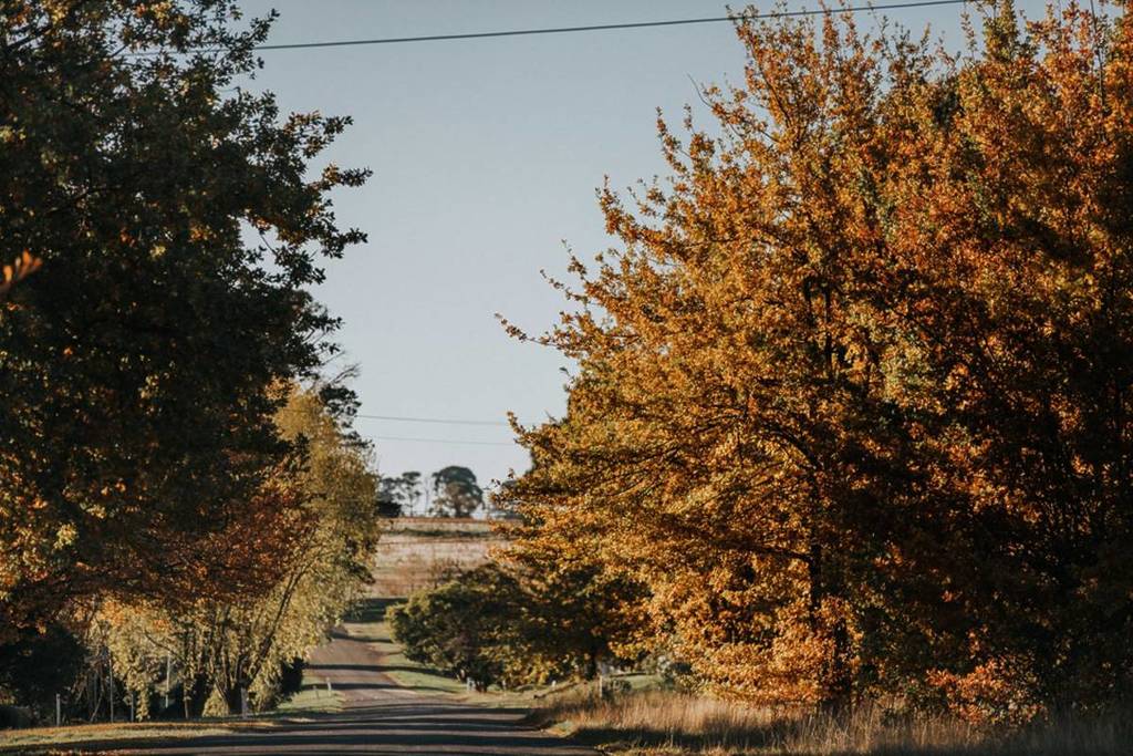 Driving to Harcourt