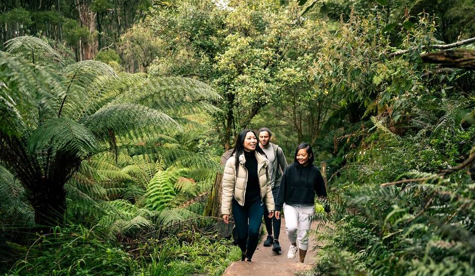 9 Spectacular Walks Near Melbourne That You Can Reach Via Public Transport
