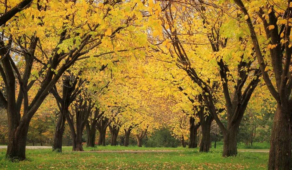 A Sprawling 68-Hectare Leafy Melbourne Park Has Reopened With A “Sand And Water” Adventure Zone — And Is The Go-To Nearby Autumn Escape Just 30 Minutes From The CBD