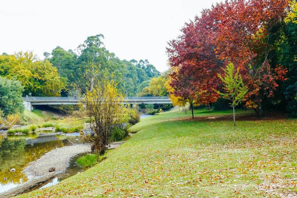bank of a river in Jamieson