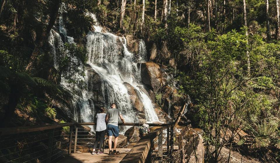 This Lush Forest Walk Near Noojee Has Not One, But Two, Waterfalls — And It’s Great For Families And Pups