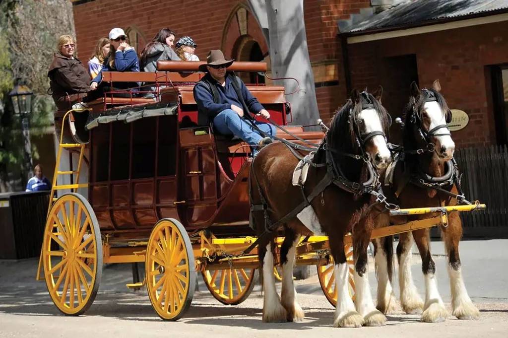 ride a horse drawn carriage in echuca