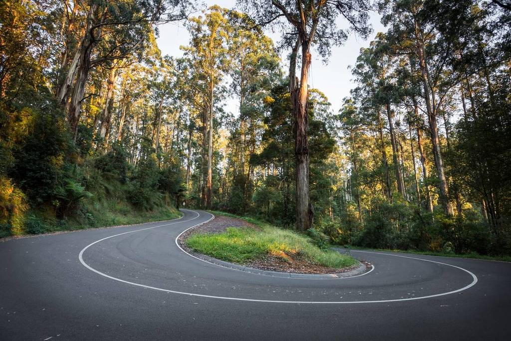 a hairpin road in the Dandenong Ranges