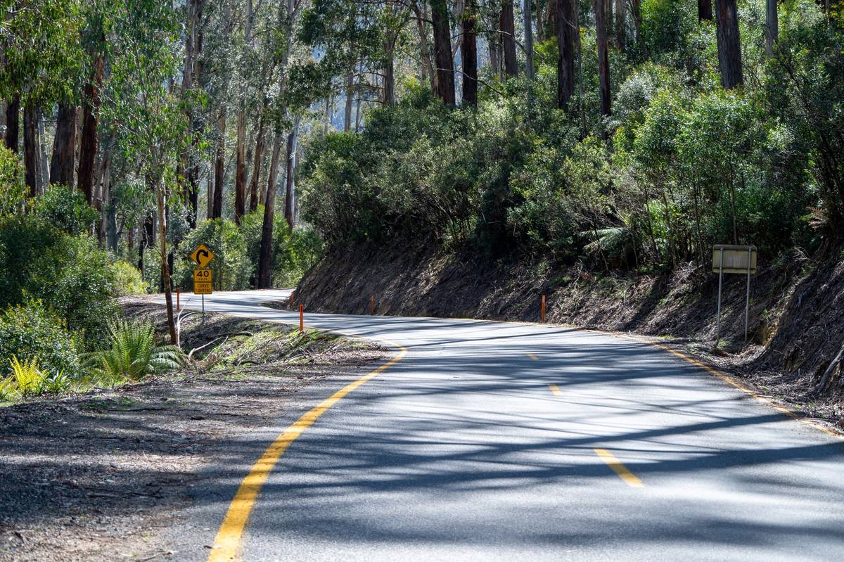 10 spectacularly scenic drives to try in Victoria