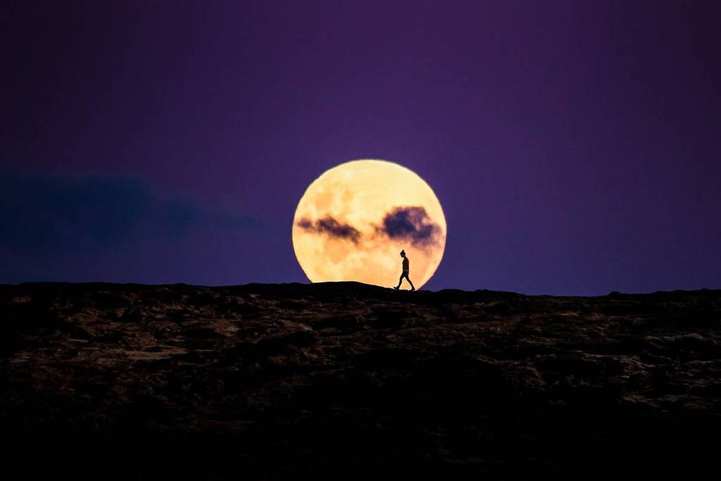 woman walking through flower moon australia