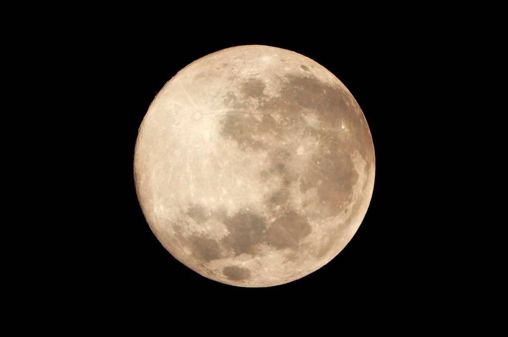 Flower moon in australia