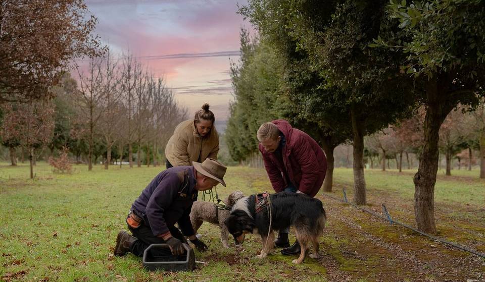 This 20-acre farm near Ballarat is a must-visit this winter, with truffle hunting and seasonal set menus