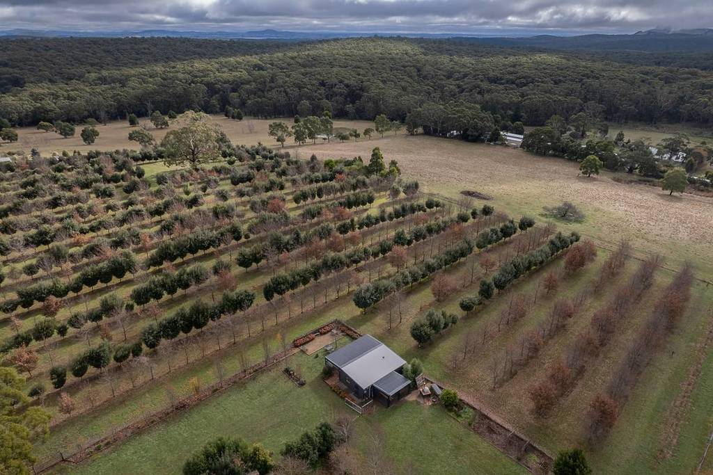 aerial view of the Black Cat Truffles farm on a winter day