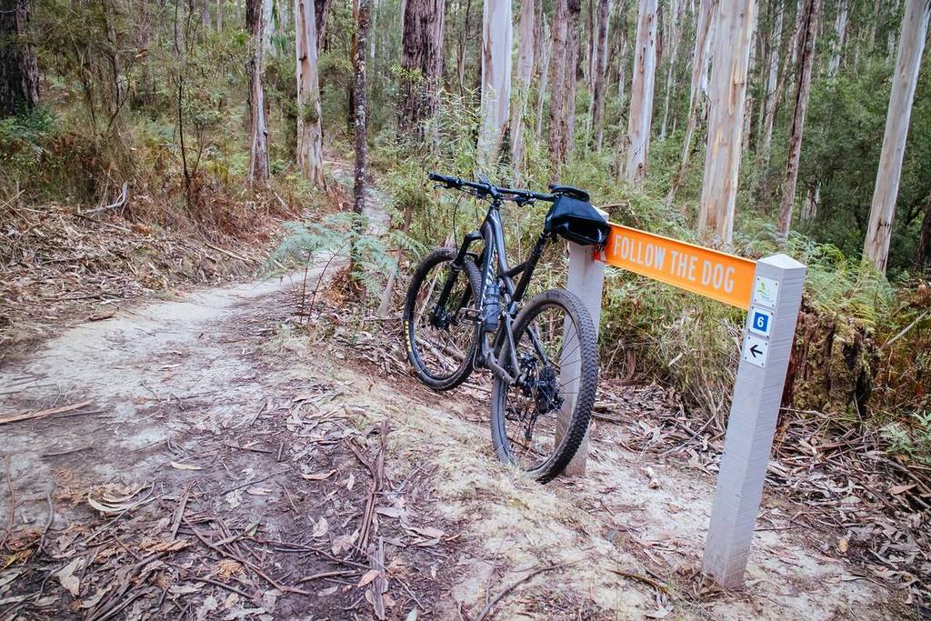 mountain bike against a sign on a trail near Forrest