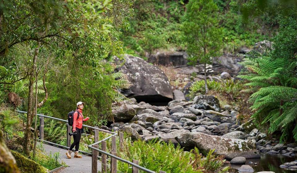 ‘The gateway to the Otways’ is a tiny town with rainforest trails, a moody lake, a brewery and zero crowds