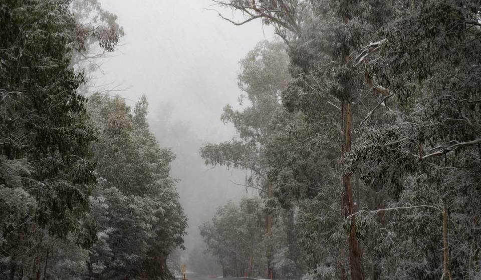 Snow is forecast across parts of Victoria this week – here’s exactly where to see it near Melbourne