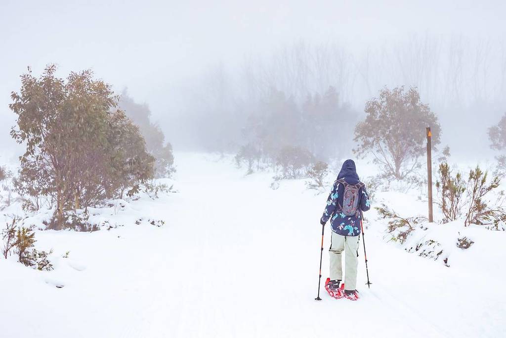 snow forecast melbourne victoria