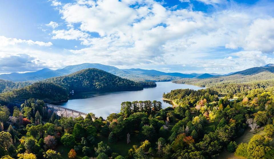 See pretty autumn trees as you climb up a Rose Stairway and discover stunning reservoir views at this park in Healesville