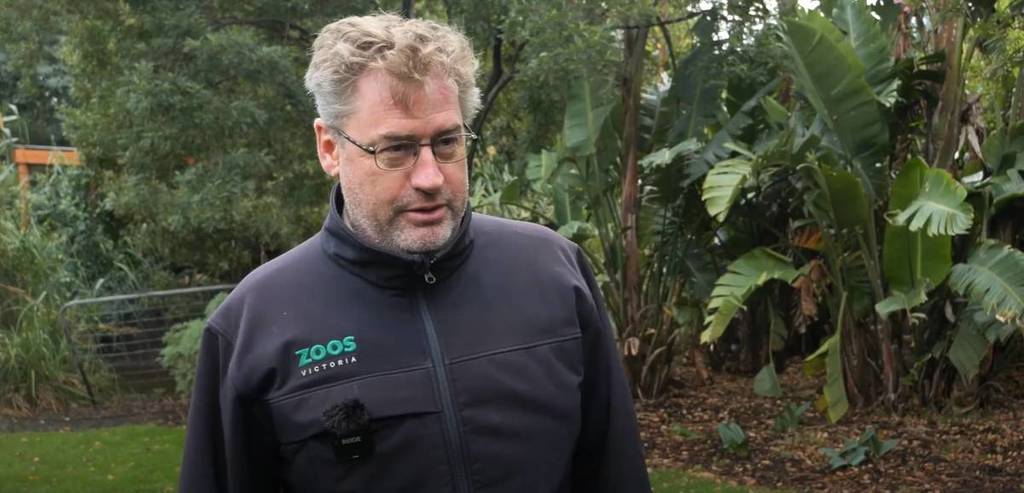 zookeeper at Werribee zoo